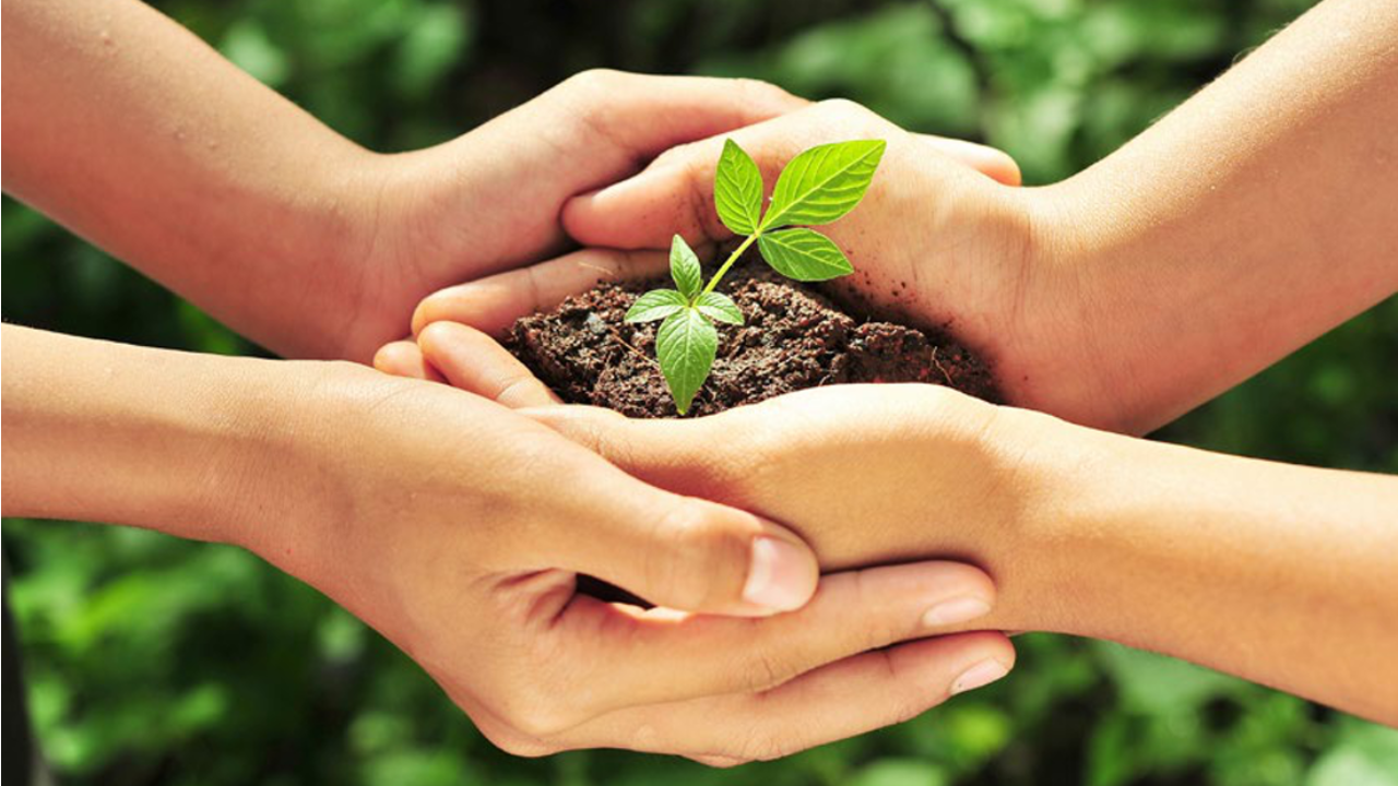 The 7 traits of enduring family businesses
